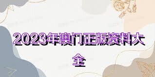 新澳门资料大全正版资料2023，可靠研究解释落实_基础版29.97.21