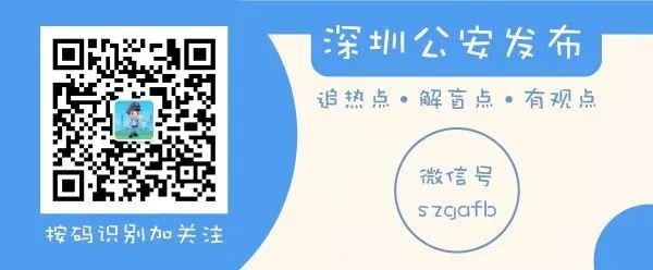 2020年澳门正版资料大全，实际案例解释落实_app48.51.26