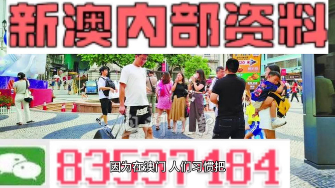 2024新澳门资料最精准免费大全，详细数据解释落实_GM版32.22.28